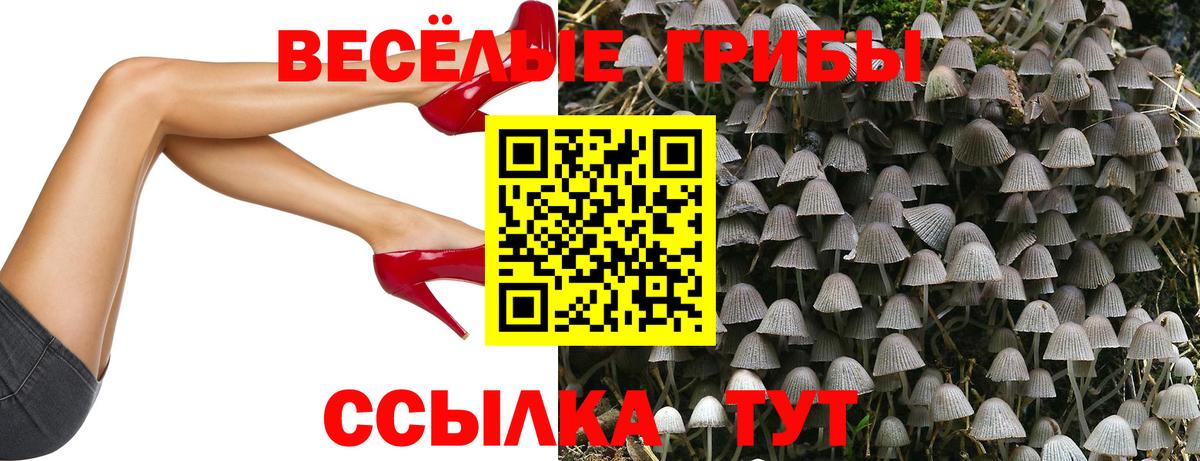 Псилоцибиновые грибы Psilocybe  Вход с VPN  Ейск 